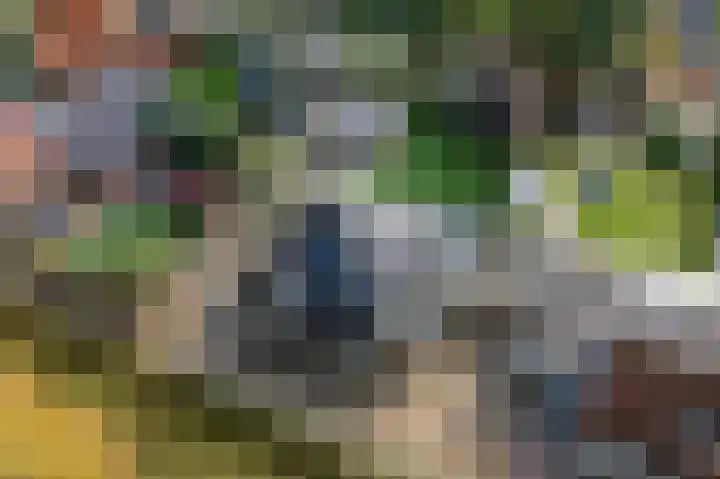 Lindenlaan 17 Emmer-Compascuum thumbnail 50