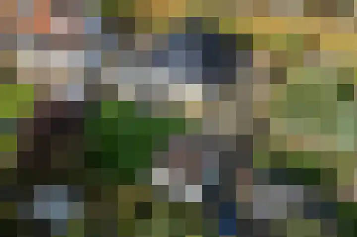 Lindenlaan 17 Emmer-Compascuum thumbnail 51
