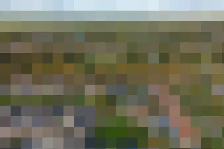 Lindenlaan 17 Emmer-Compascuum thumbnail 52
