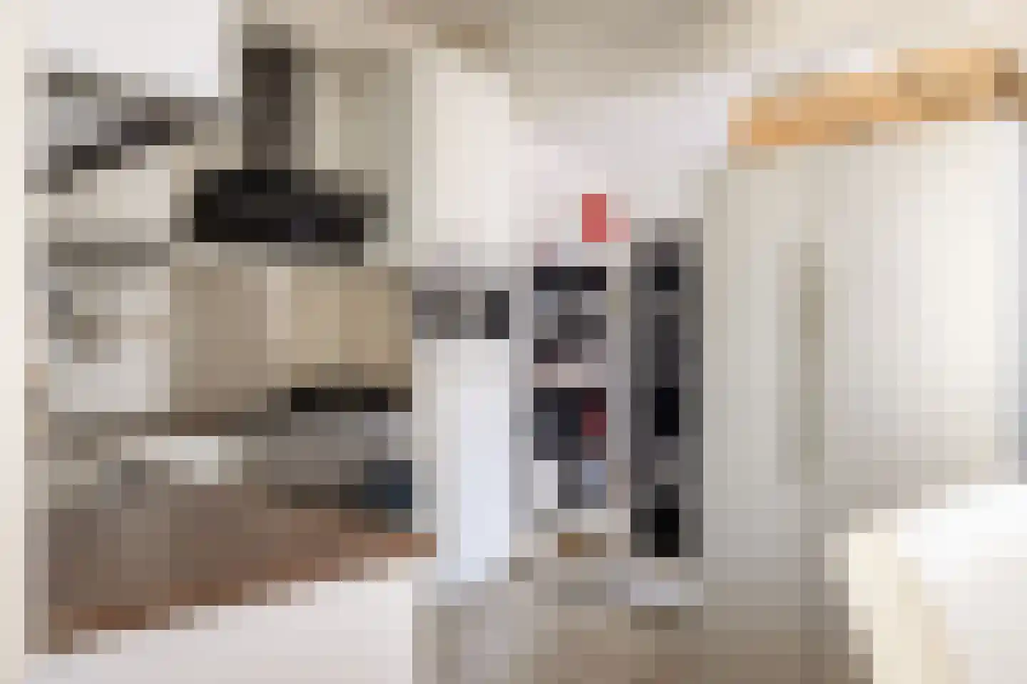Lindenlaan 17 Zwanenburg thumbnail 10