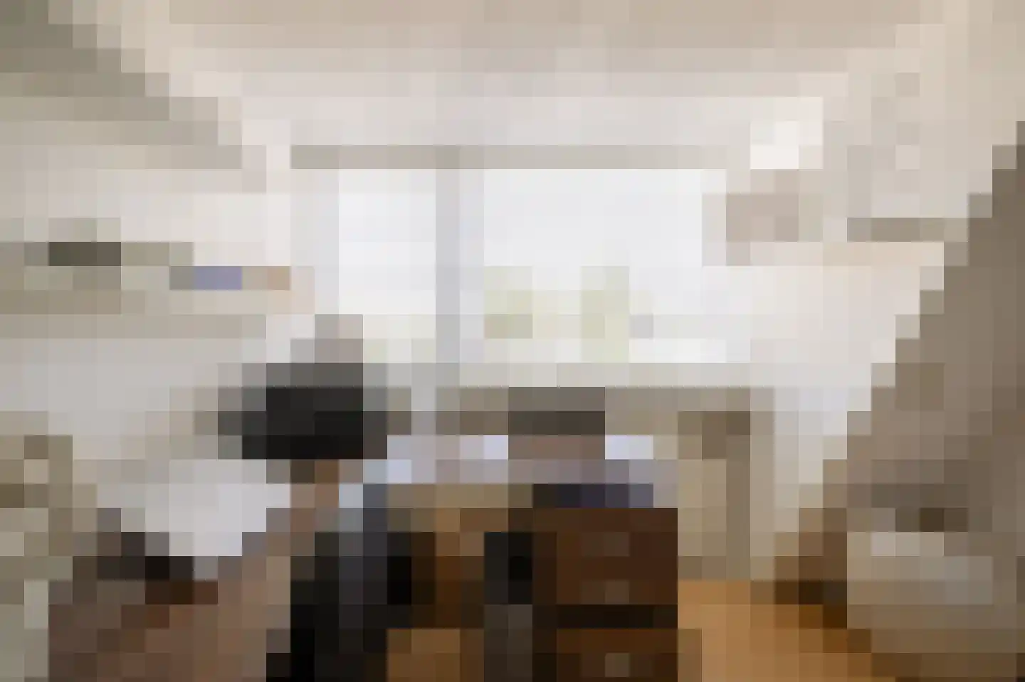 Lindenlaan 17 Zwanenburg thumbnail 16
