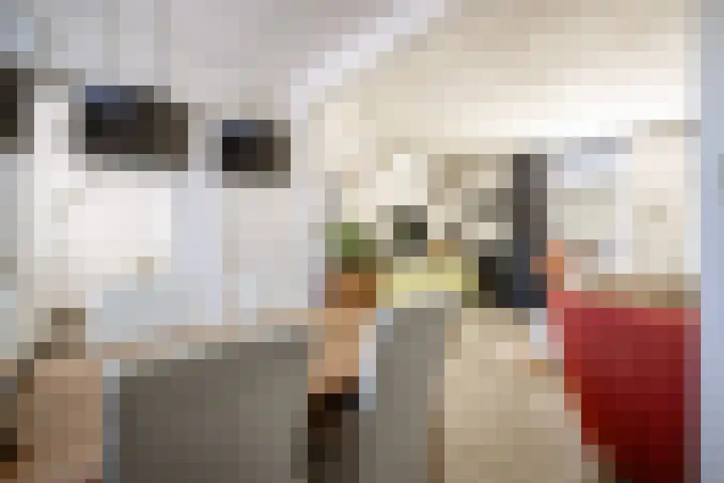 Lindenlaan 17 Zwanenburg thumbnail 4