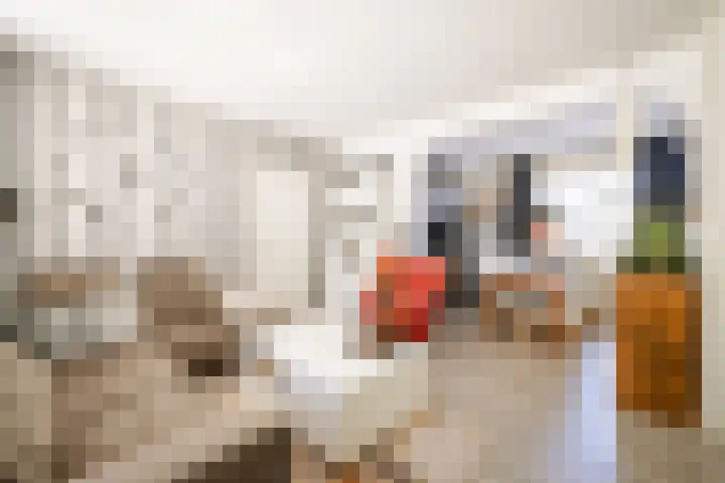 Lindenlaan 17 Zwanenburg thumbnail 7