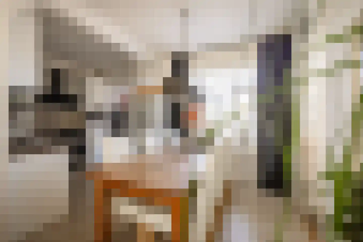Lindenlaan 17 Zwanenburg thumbnail 9