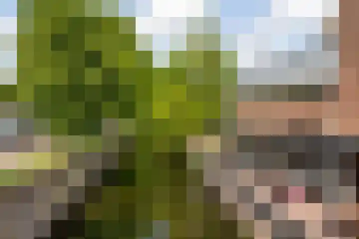 Lindenlaan 18 Heemstede thumbnail 26