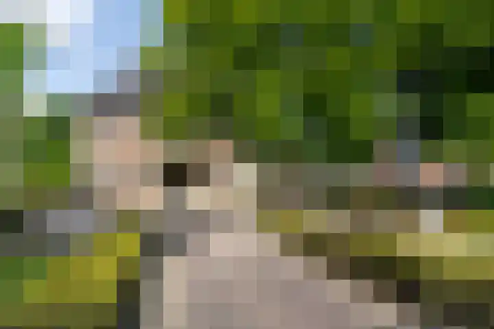 Lindenlaan 18 Heemstede thumbnail 27