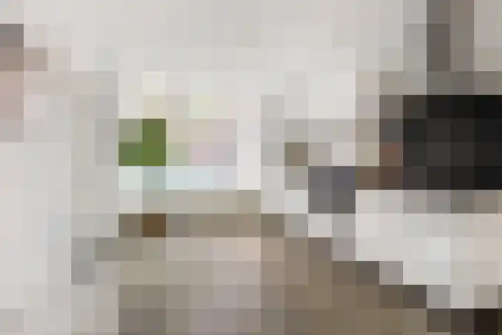 Lindenlaan 18 Heemstede thumbnail 8