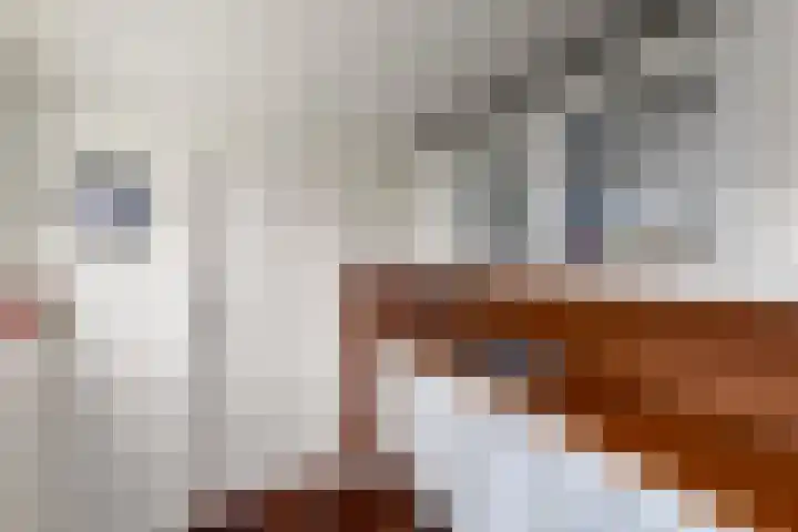 Lindenlaan 18 Heerenveen thumbnail 17