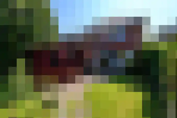 Lindenlaan 18 Heerenveen thumbnail 28