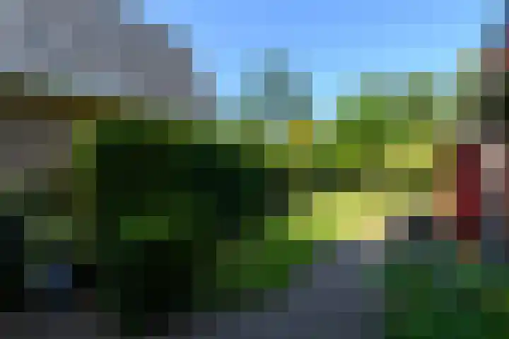 Lindenlaan 18 Heerenveen thumbnail 29