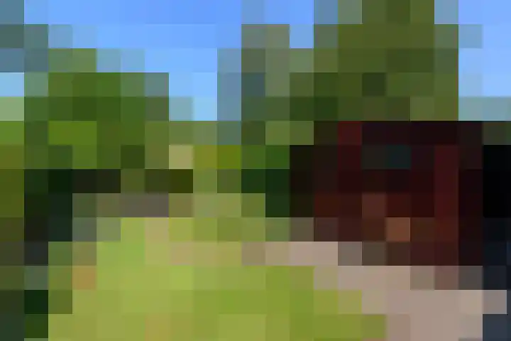 Lindenlaan 18 Heerenveen thumbnail 30