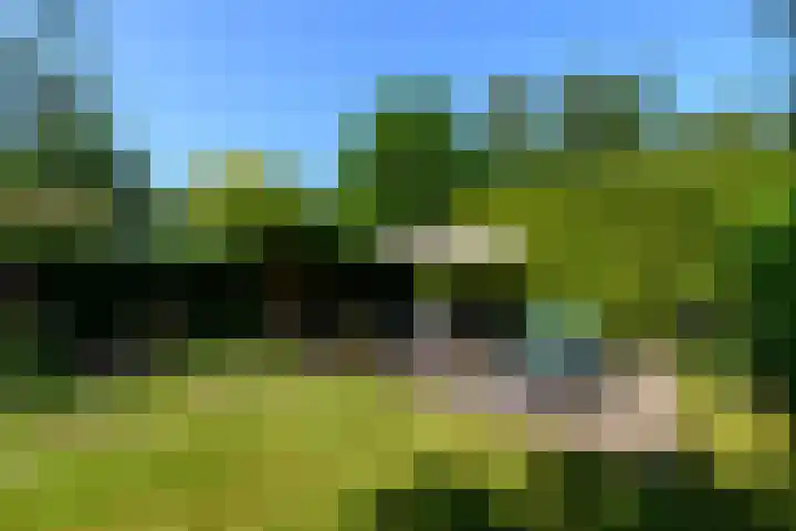 Lindenlaan 18 Heerenveen thumbnail 31