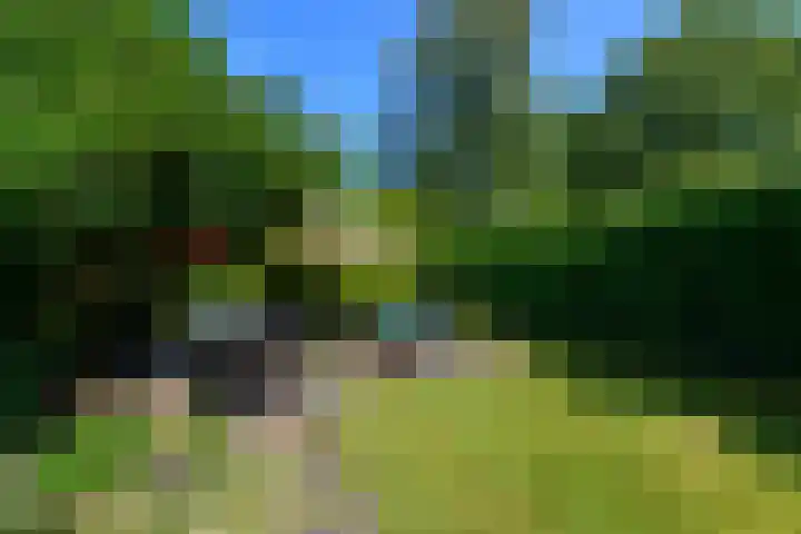 Lindenlaan 18 Heerenveen thumbnail 32