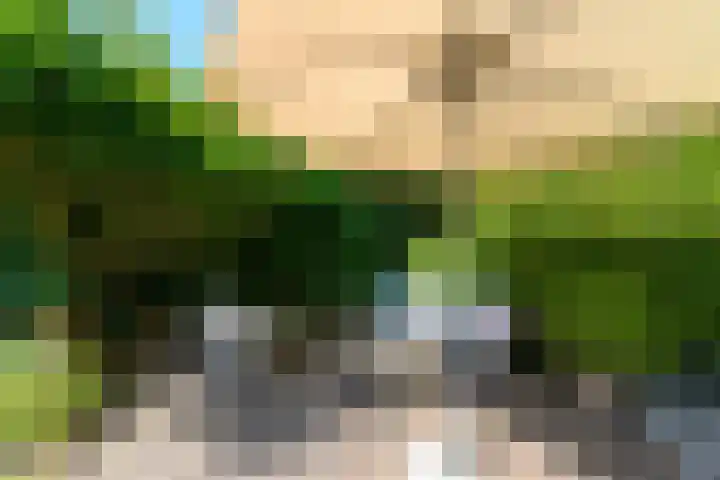 Lindenlaan 18 Heerenveen thumbnail 33