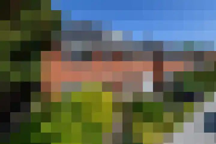 Lindenlaan 18 Heerenveen thumbnail 4