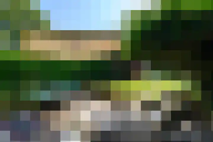 Lindenlaan 18 Heerenveen thumbnail 46