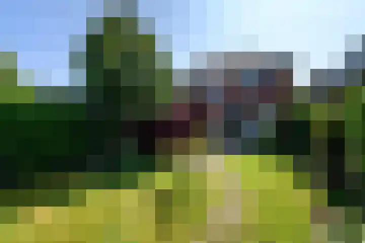 Lindenlaan 18 Heerenveen thumbnail 47