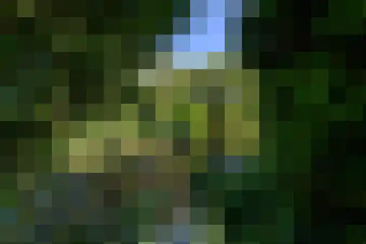 Lindenlaan 18 Heerenveen thumbnail 49