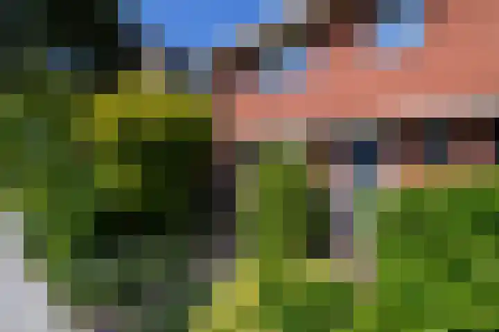Lindenlaan 18 Heerenveen thumbnail 5