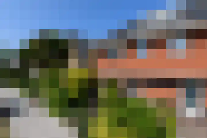 Lindenlaan 18 Heerenveen thumbnail 50