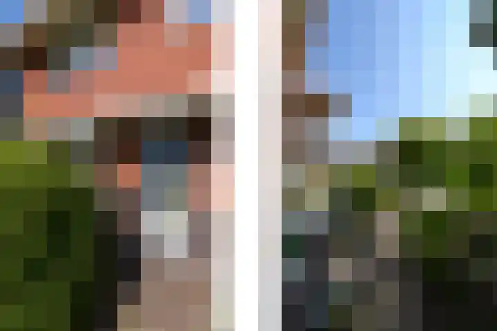 Lindenlaan 18 Heerenveen thumbnail 52
