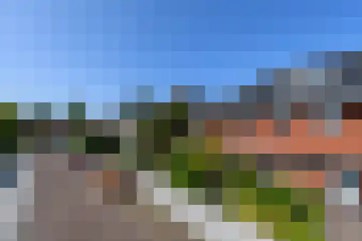 Lindenlaan 18 Heerenveen thumbnail 53