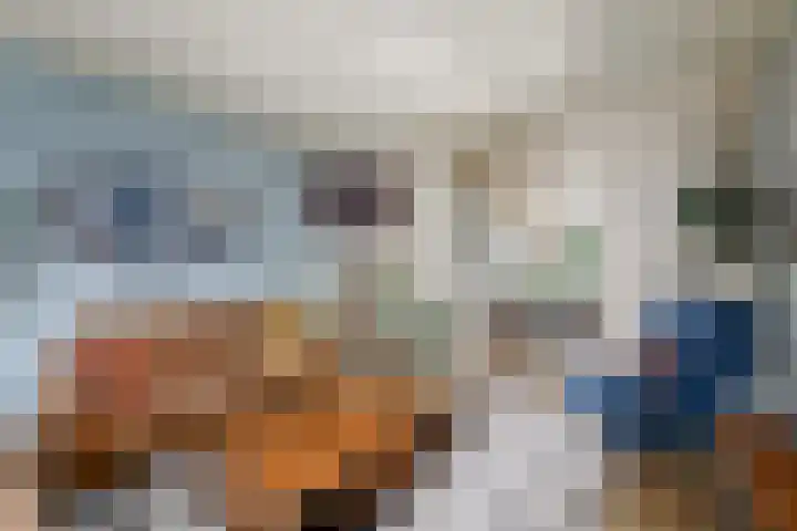 Lindenlaan 18 Heerenveen thumbnail 8