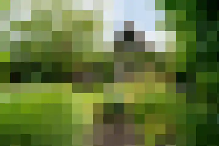 Lindenlaan 19 B Heerhugowaard thumbnail 44
