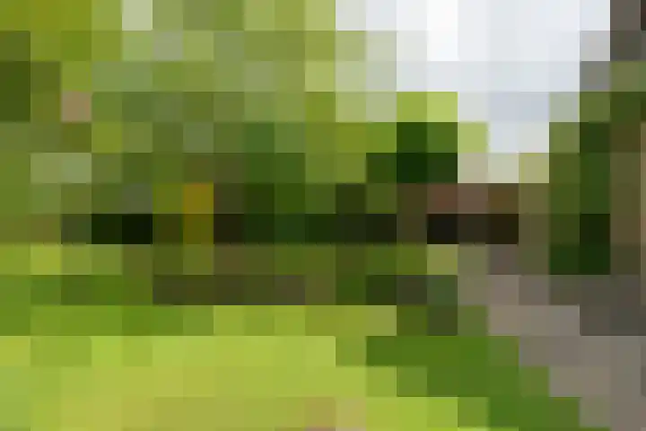 Lindenlaan 19 B Heerhugowaard thumbnail 51