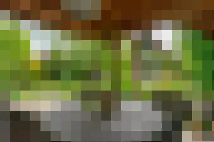 Lindenlaan 19 B Heerhugowaard thumbnail 52
