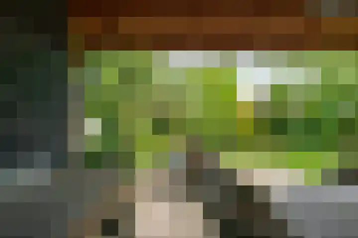 Lindenlaan 19 B Heerhugowaard thumbnail 53