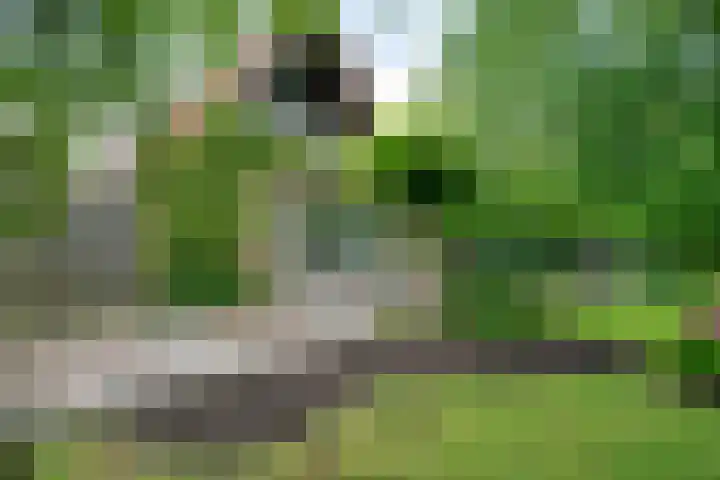 Lindenlaan 19 B Heerhugowaard thumbnail 57