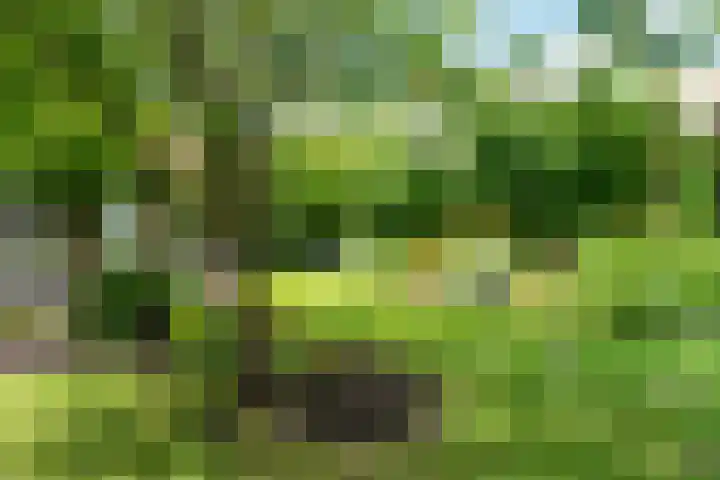 Lindenlaan 19 B Heerhugowaard thumbnail 58