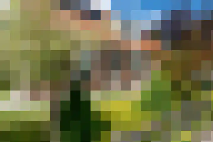 Lindenlaan 19 B Heerhugowaard thumbnail 64