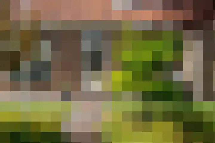 Lindenlaan 19 B Heerhugowaard thumbnail 66