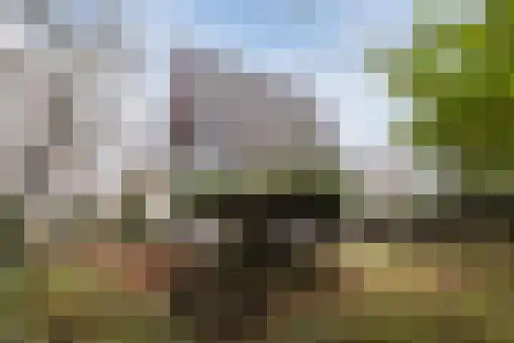 Lindenlaan 2 Bergen (NH) thumbnail 28