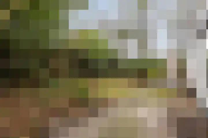 Lindenlaan 2 Bergen (NH) thumbnail 29