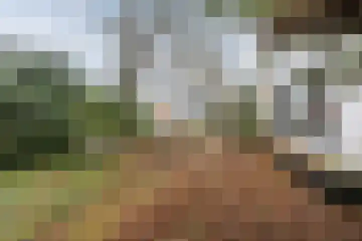 Lindenlaan 2 Bergen (NH) thumbnail 30