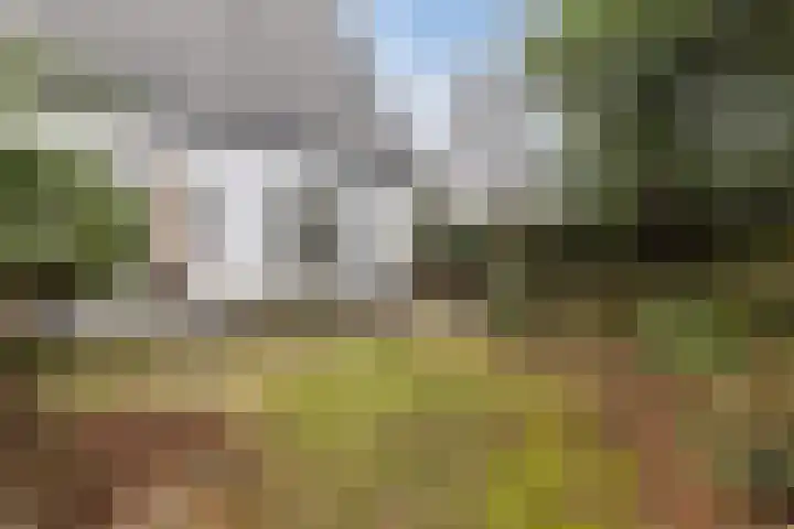 Lindenlaan 2 Bergen (NH) thumbnail 31