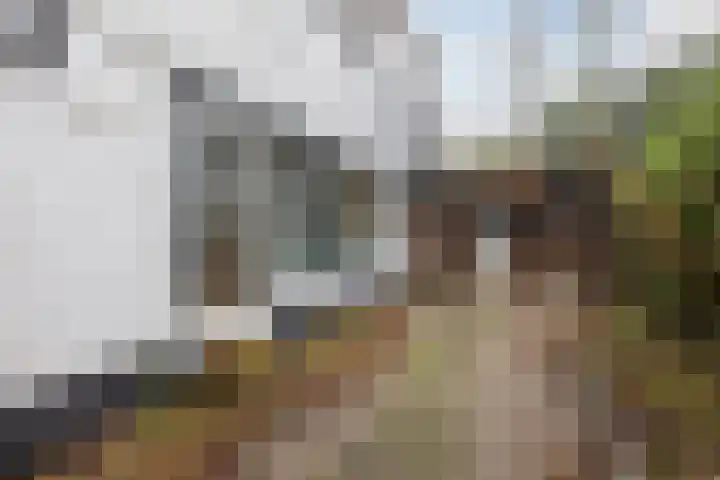 Lindenlaan 2 Bergen (NH) thumbnail 32