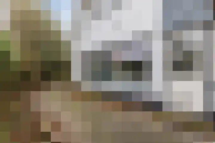 Lindenlaan 2 Bergen (NH) thumbnail 33