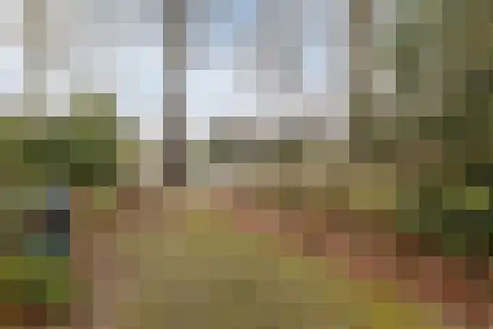 Lindenlaan 2 Bergen (NH) thumbnail 34