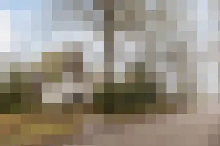 Lindenlaan 2 Bergen (NH) thumbnail 35