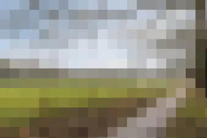 Lindenlaan 2 Bergen (NH) thumbnail 36