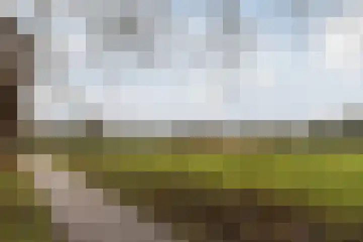 Lindenlaan 2 Bergen (NH) thumbnail 37