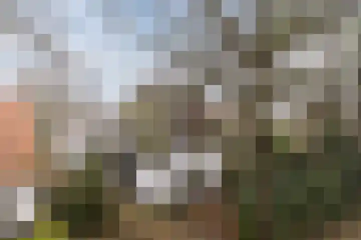 Lindenlaan 2 Bergen (NH) thumbnail 4