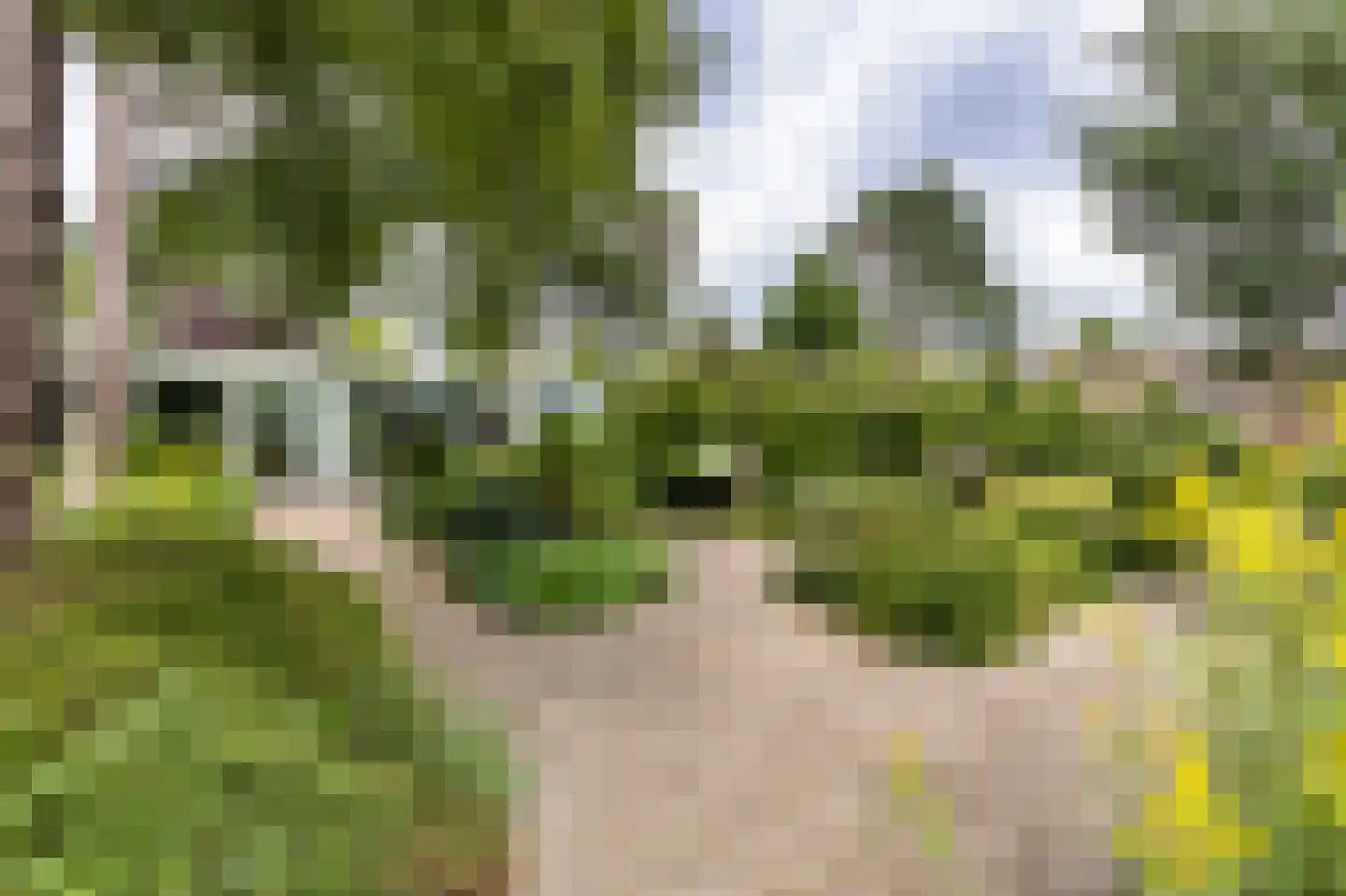 Lindenlaan 20 A Bergen (NH) thumbnail 23