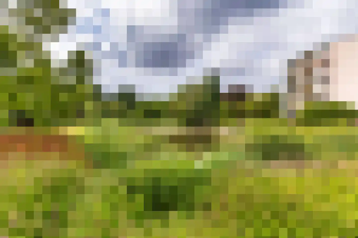 Lindenlaan 20 A Bergen (NH) thumbnail 4