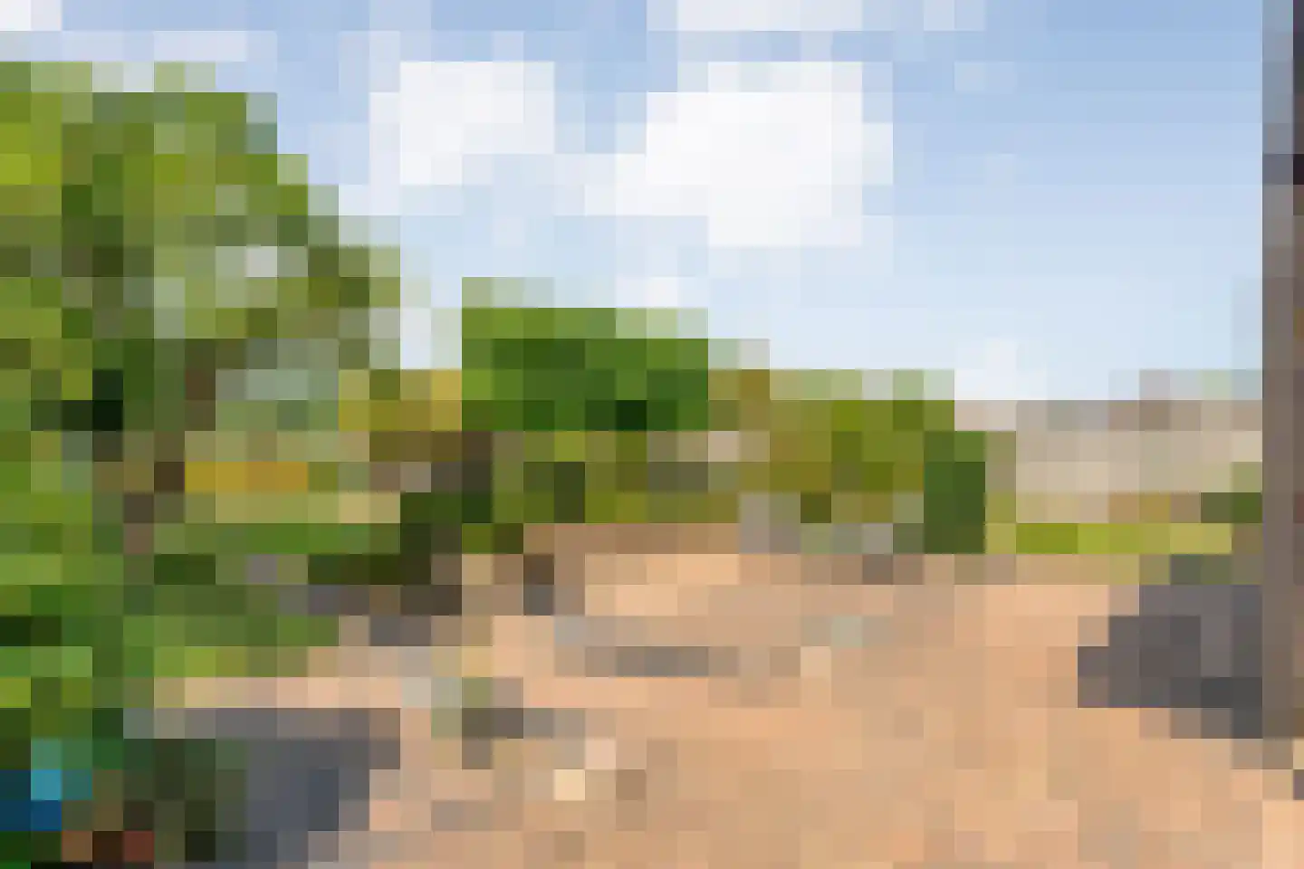 Lindenlaan 20 Geesbrug thumbnail 38