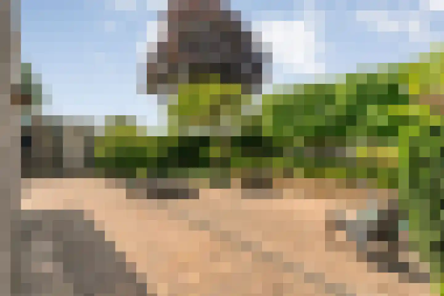 Lindenlaan 20 Geesbrug thumbnail 39
